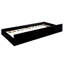 Black Padded Daybed With Trundle, Transitional Style, Flannelette Upholstery, Button , Design, Nailhead Trim, Slat Kit - Fashion,
