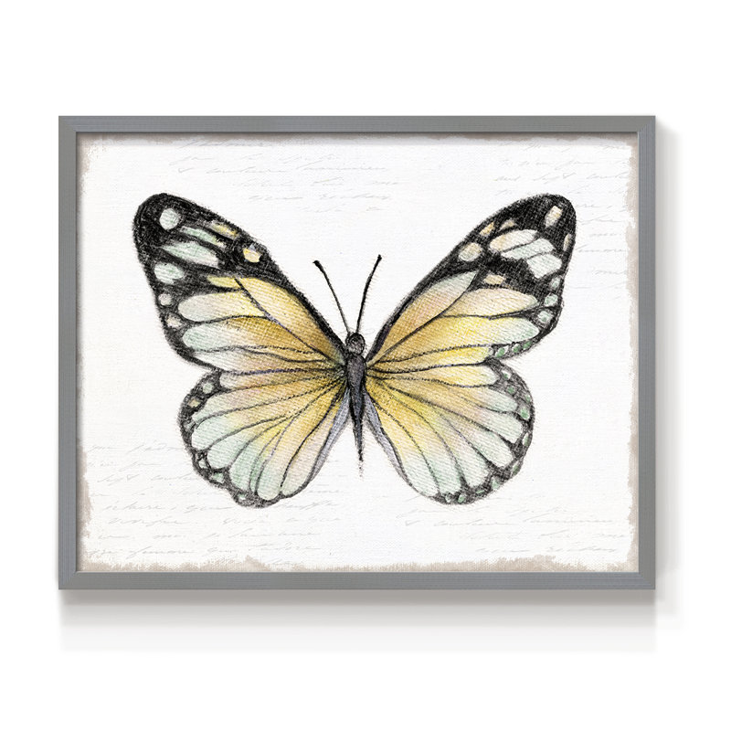 Vintage Flutter II -Framed Print - Restickable, Gris, H 16 po x l 20 po