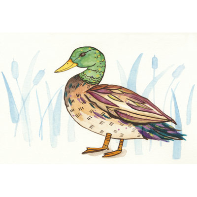 Wetland Mallard I by Rebekah Ewer - Wrapped Canvas Painting