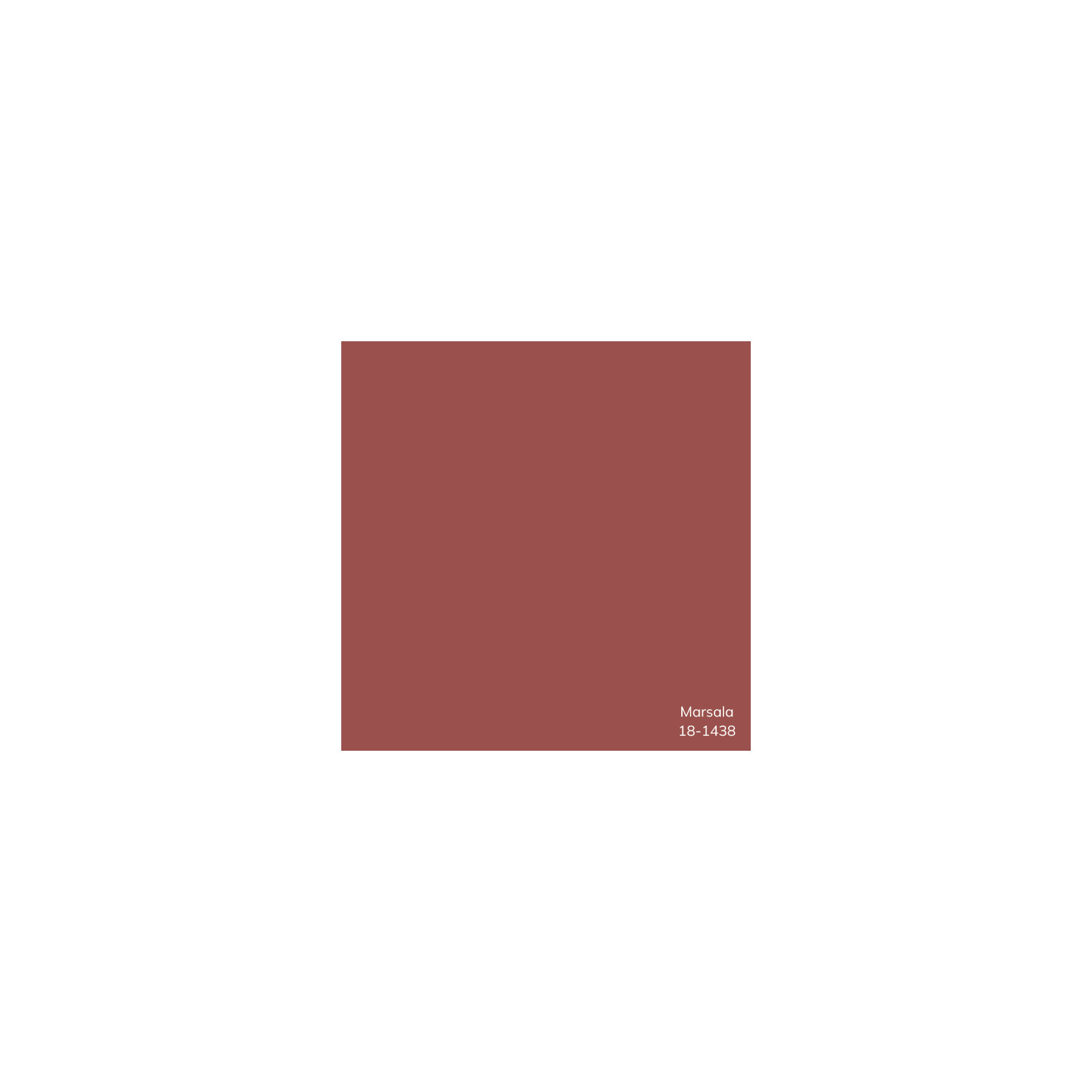 Edgar Throw Pillow, Polyester/Polyfill, Brick Red, 22"H x 22"W