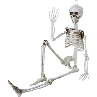 1 Pair Halloween Skeleton Hands Terror Bone Plastic Hand For Zombie Cosplay  Horror Prank