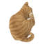 Chat qui gratte l'oreille