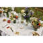 Elegance Classic Flute 8 fl oz