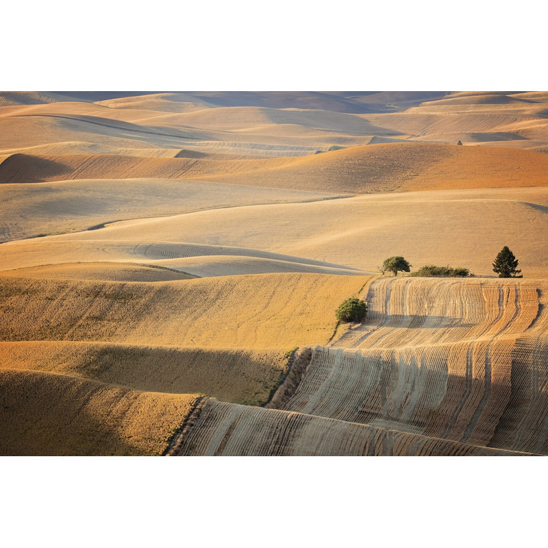 Farm & Field III by PHBurchett - Wrapped Canvas Art Prints, 30cm H x 46cm W