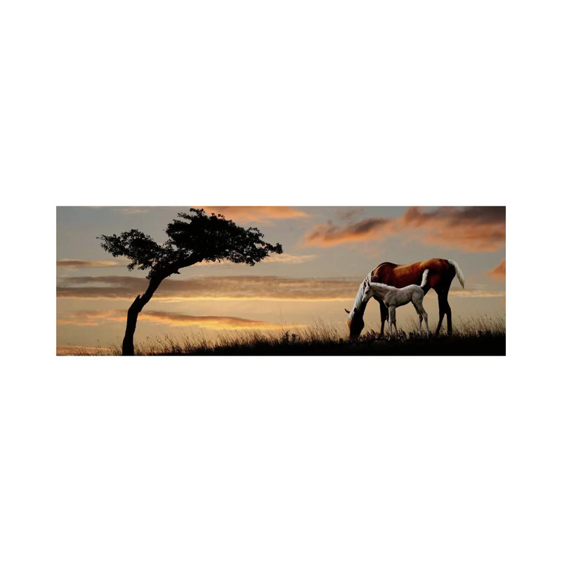 Horse Mare And A Foal Grazing By Tree At Sunset - Wrapped Canvas Panoramic Print, 182.88 cm H x 60.96 cm W