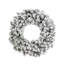 Snowy Alpine Wreath, 30"