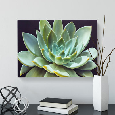 Watercolour Succulent Plant Vol.5 - Wrapped Canvas