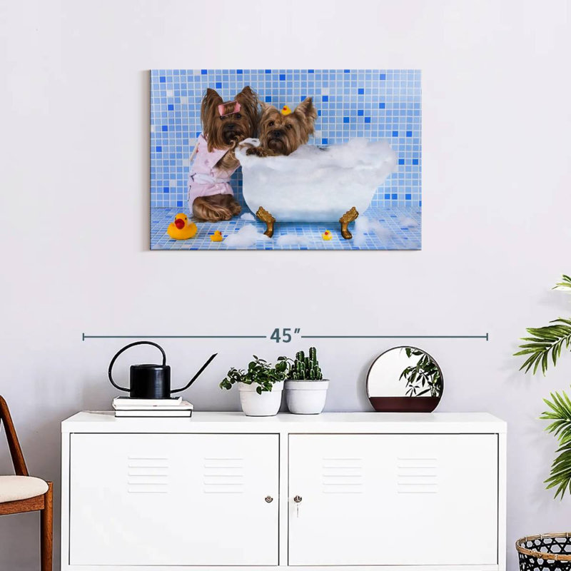 Chiens de bain moussant, H 20 po x l 30 po