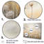 Pissenlit champ brise - art mural champ de fleurs-369171568-369171561-345858271