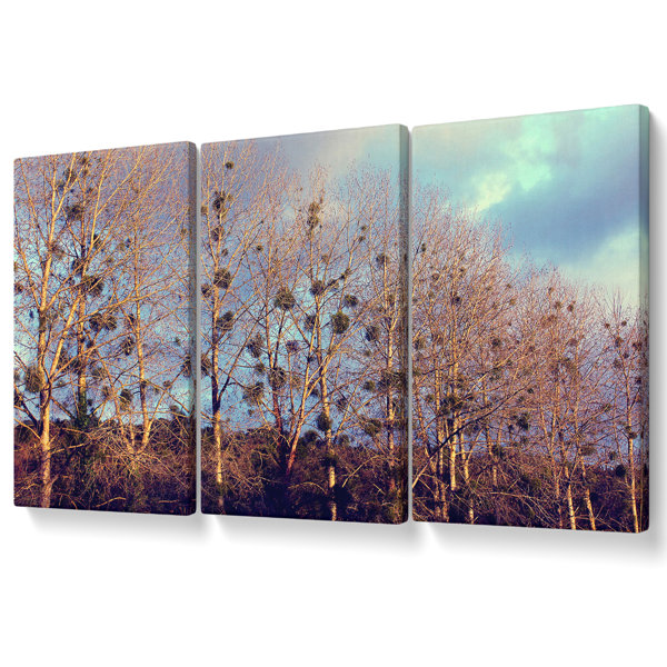 Ebern Designs Bird Trees - 3 Piece Wrapped Canvas Graphic Art | Wayfair ...