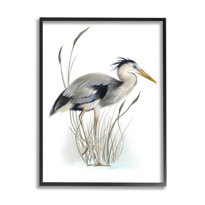Détaillée, héron, oiseau, lécher, terre humide, marais, estampe numérique, ensemble d'art texturé par Studio Q
