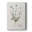 Bellflower Study -Custom Wrapped Gallery Cavas-306647331