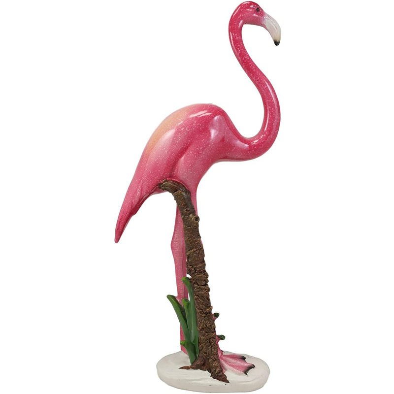 Flamant vierge vierge paradise Weatherford