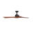 42" Quiet Ceiling Fan With Bluetooth App, Reversible Motor & LED Lighting