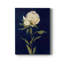 PRETTY AS A PEONY II - Impression sur toile tendue-386555220