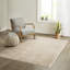 Tapis à poils longs en polyester doux-1793491129