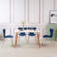 Bierstadt Rectangular 120cm L x 80cm W Dining Table