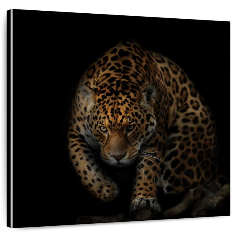 Crowle rôdant Jaguar, H 10 po x l 10 po