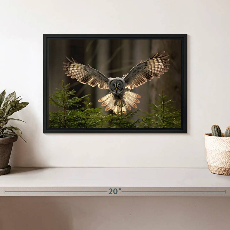 Brampt Flying Owl, 9" H x 13" W