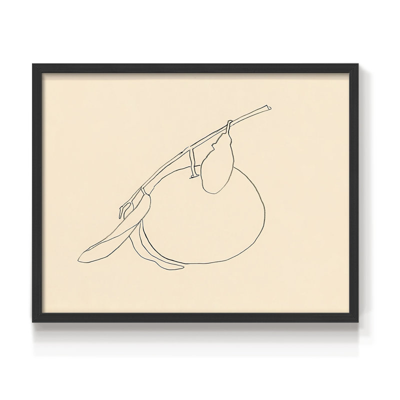 «Citrus Contour II», reproduction encadrée, H 8 po x l 10 po, Noir, noir, noir, noir