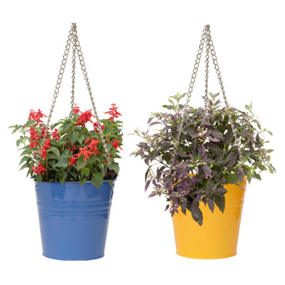 Arnkell Metal Hanging Planter