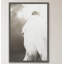 Pearl by Ann Barnes - Single Picture Frame Print-1079295856