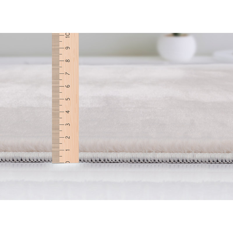 Schnabel Solid Colour Area Rug, Rectangular 70 x 140cm