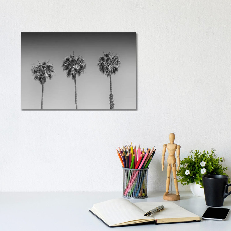 Minimalistic Palm Trees | Monochrome by Melanie Viola - Wrapped Canvas Print, 20.32 cm H x 30.48 cm W