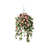 Rose est en rupture de stock