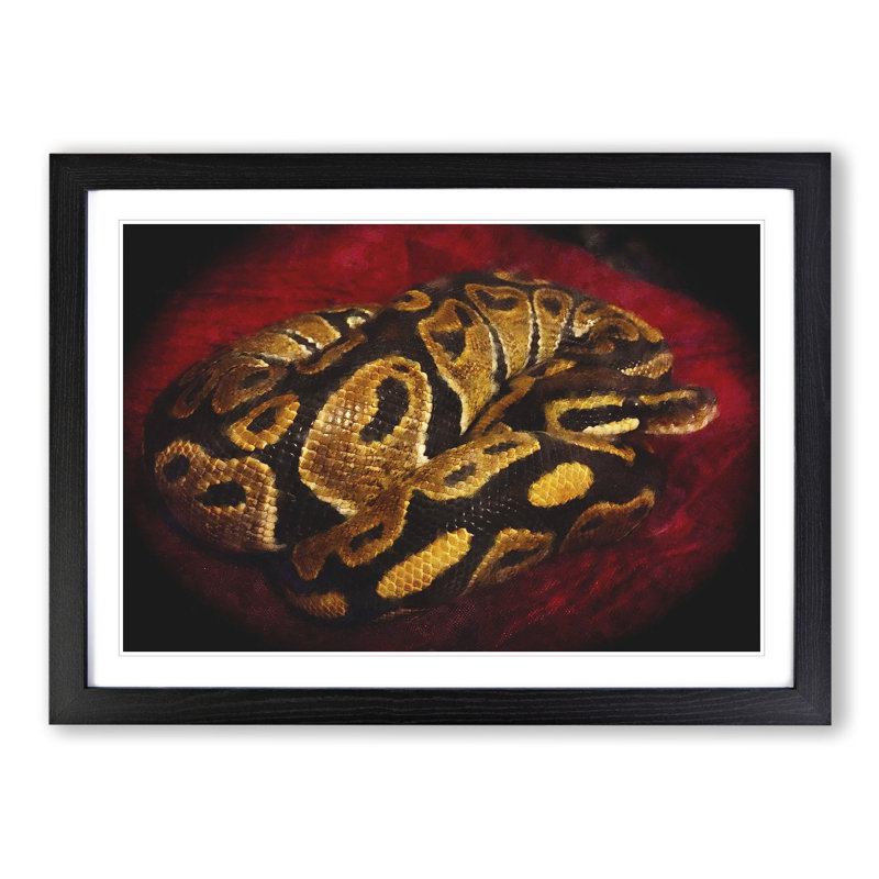 Python Snake - Framed Print, 27cm H x 36cm W x 2cm D, Black Framed