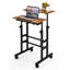 Adjustable Standing Desk-1717250332