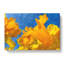 Yellow Daffodils - Wrapped Canvas-64020183