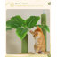 Arbre à chat réglable avec hamac et poteau à griffes pour chats d'intérieur