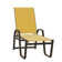 Holna Outdoor Rust-Resistant Metal Chaise Lounge