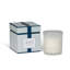 Sweet Tea Perfumed Candle