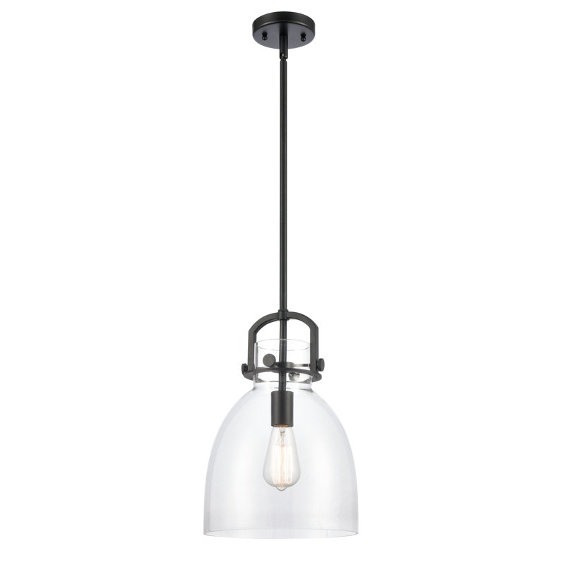 Luminaire suspendu 1 lumière Badillo, Clair, Noir mat, H 14,75 po x l 10 po x P 10 po