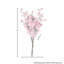 Ensemble de cornouiller Southern-751312882