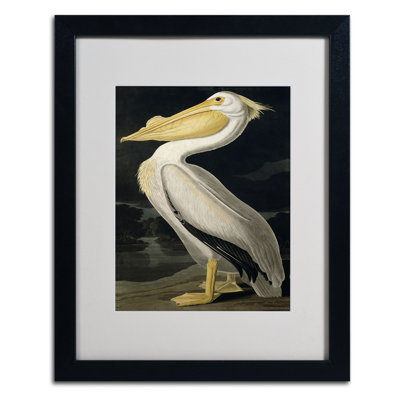 Art mural encadré - Décoration murale John James Audubon «American White Pelican» avec cadre mat - Art du salon, de la cuisine et de la salle de bain - 11 x 14