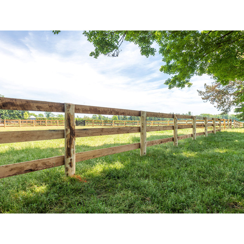 Clôture de bovin Farm Farmence, H 4 pi x l 38 pi