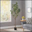 ARBRE EUCALYPTUS ARTIFICTIF 180CM-98067360