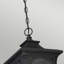 Aadrith Outdoor Hanging Lantern
