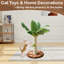 Grattoir petit chat, grattoir en sisal avec 3 pompons suspendus pour chats d'intérieur-902781054