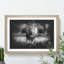 Lion Vol.5 - Picture Frame Graphic Art-62802654-62802655