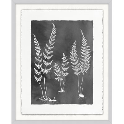 Fernspiration Grey, impression encadrée sur verre 11 pi