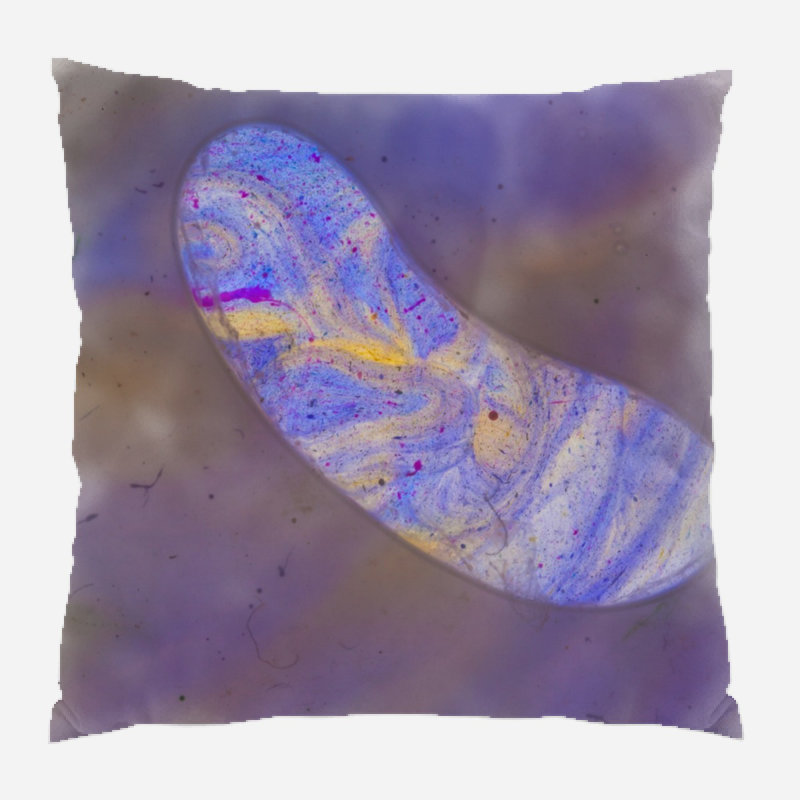 Coussin décoratif art Birdwell, Microsuède, Intérieur