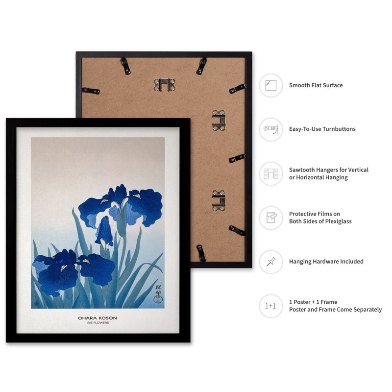 Ohara Koson - fleur d'iris, Cadre noir, Affiche, H 12 po x l 16 po