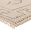 Jaipur Living Azzurro JIN08 Handknotted Medallion Cream and Pink Area Rug (10'x14')-1506473721