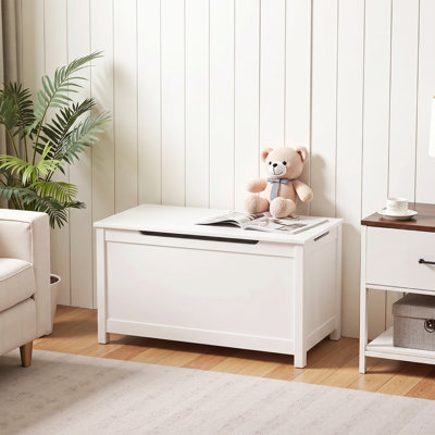 Kids Toy Chest with Safety Hinge, Wooden Toy Storage Chest for Boys Girls, Large Capacity Toy Box Organizer, Bench Storage Cabinet for Playroom, Bedroom, Nursery