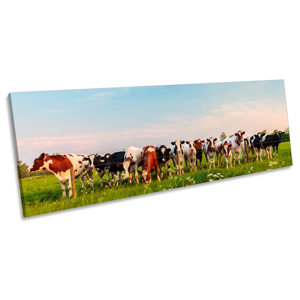 Cow Herd Farm Field - Wrapped Canvas Panoramic Photograph