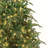 Lighted Christmas Tree-190080511